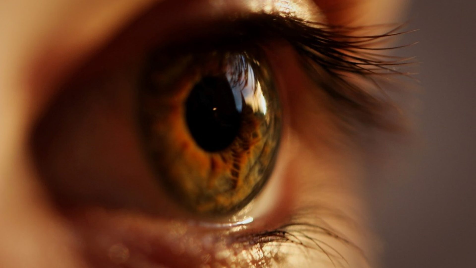 Oeil paresseux