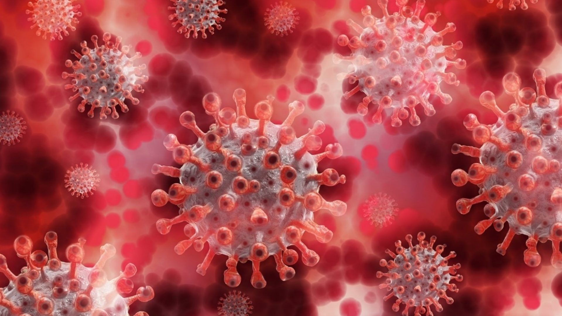 virus